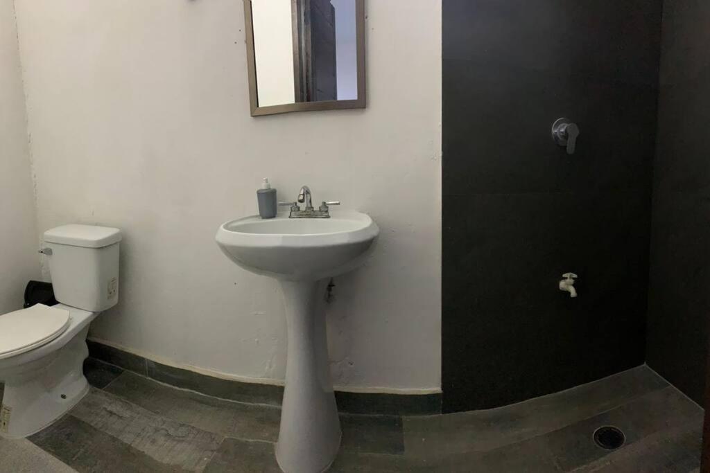 Casa Honey 4 Bedroom Oasis With Pool! バカラル エクステリア 写真